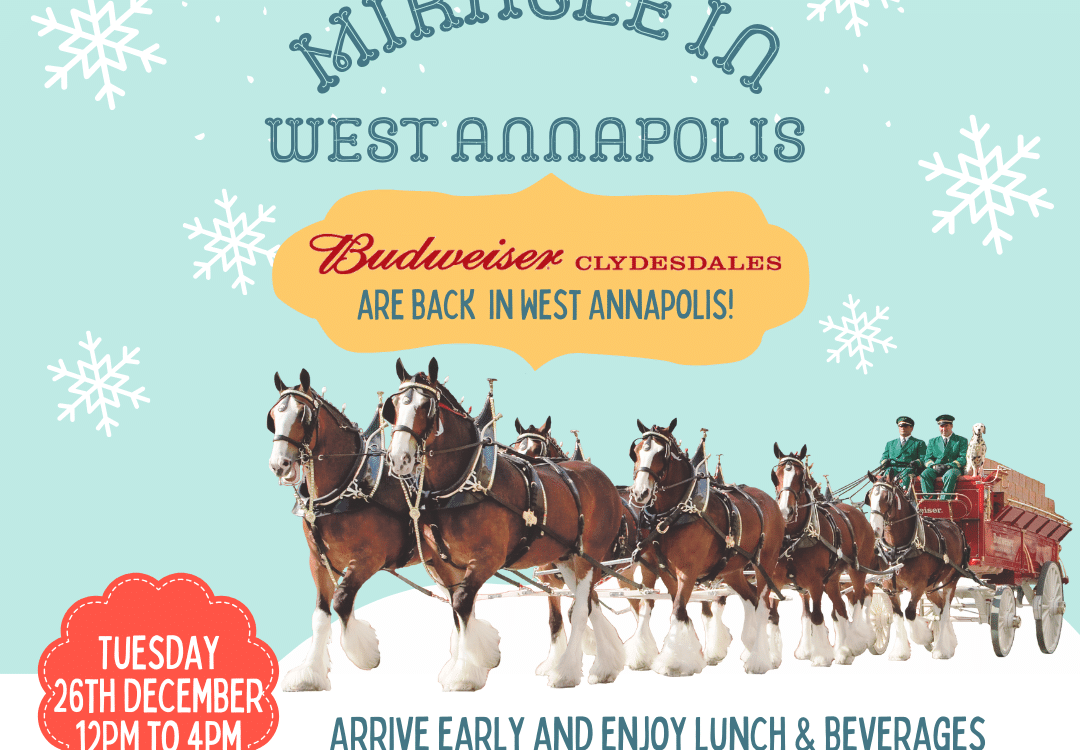 Holiday Countdown Miracle in West Annapolis and Meet the Budweiser