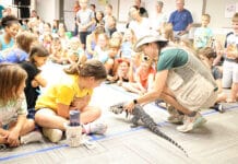 This Summer, Adventure Begins at Your Library