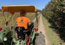 Hay, There! 5 Local Hayrides for the Whole Family Photo of the back of a tractor being driven along a farm road by a man wearing an orange shirt.