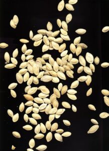 Stock photo of a bunch of baked pumpkin seeds strewn out on a black tablecloth.