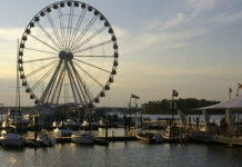 Stock photo of a large Ferris wheel on a waterfront.