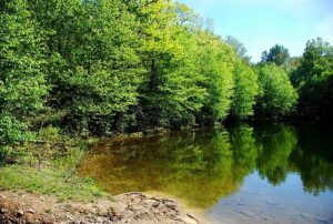 Stock photo of a lake surrounded by lush green trees.