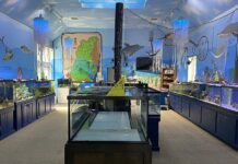 Summer Fun: Mosey into Montgomery County