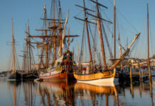 Best Events of the Month: November 2025