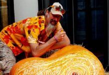Great Annapolis Pumpkins Return to Downtown