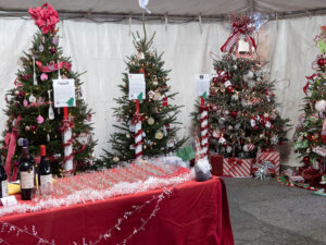 Lights of Kindness Christmas trees