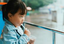 Weekend Events in the Chesapeake: Nov. 21-22