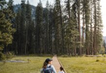 Parent and child hiking on a wooden trail through a park