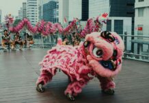 Lion dancers