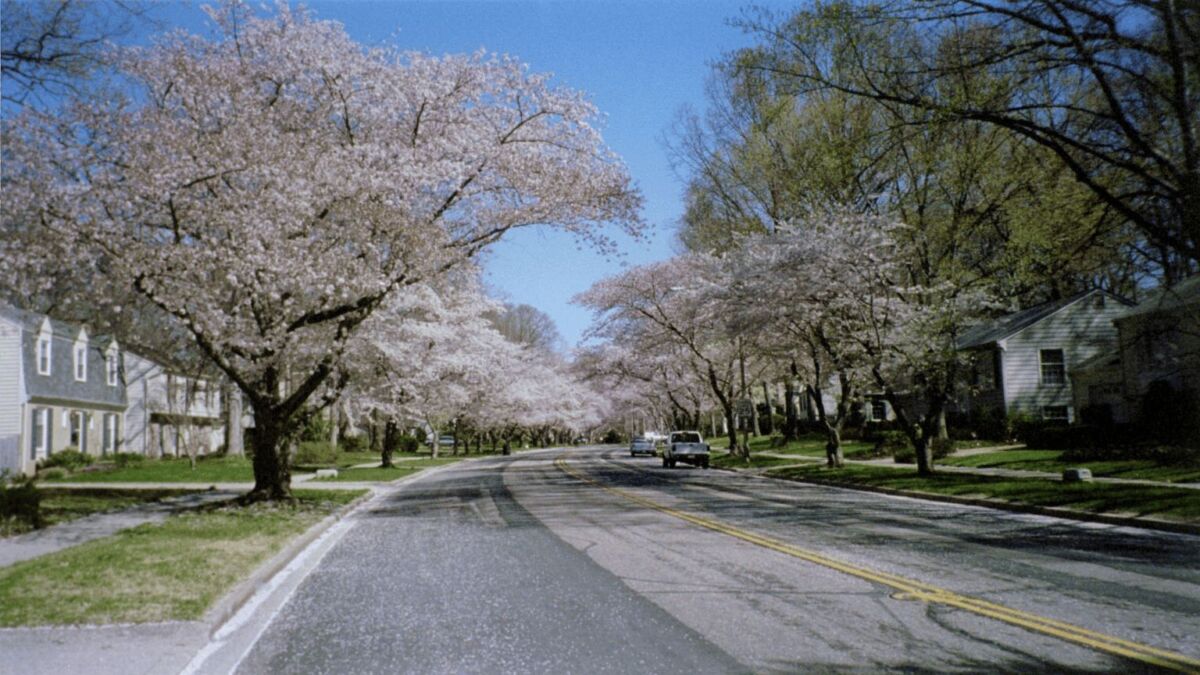 Crofton Parkway in the spring