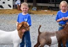 Things to Do This Weekend in the Chesapeake: July 10-11 Kids and goats at the Talbot County Fair