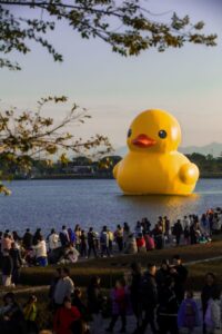 People watching a giant rubber duck