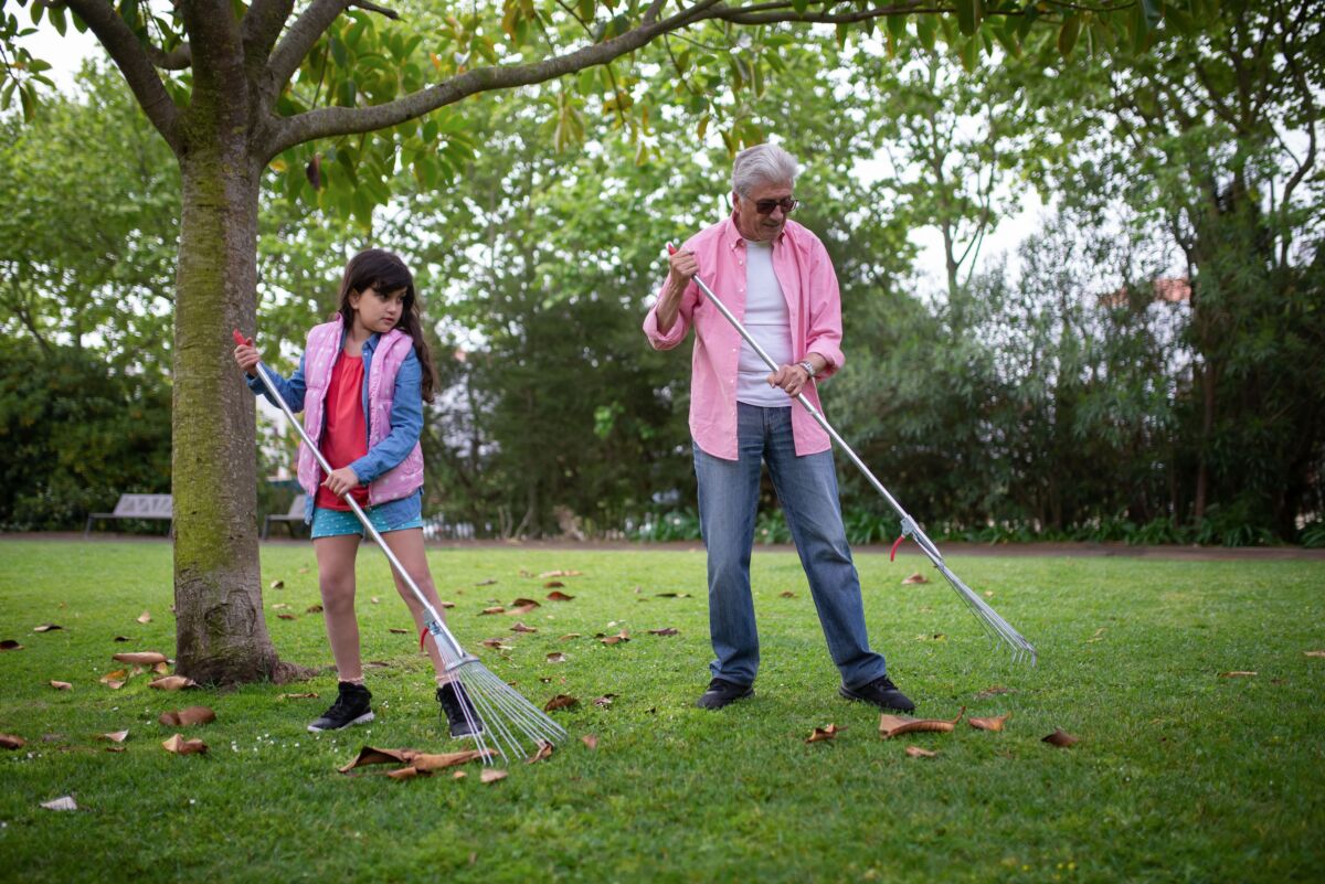 A girl and an older man raking leaves